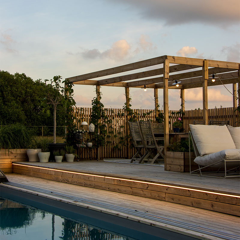 Villabergpalm feature